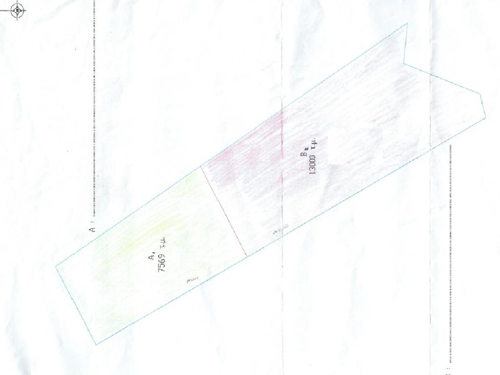 Field-Kouklia-PR41896
