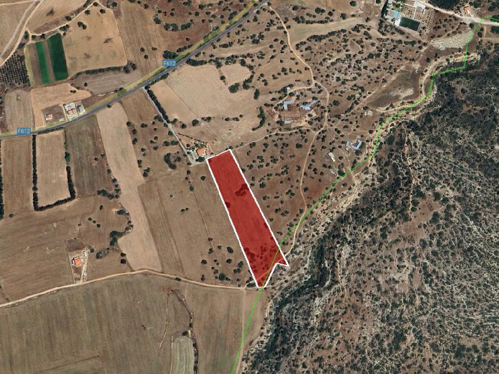 Field-Kouklia-PR41896