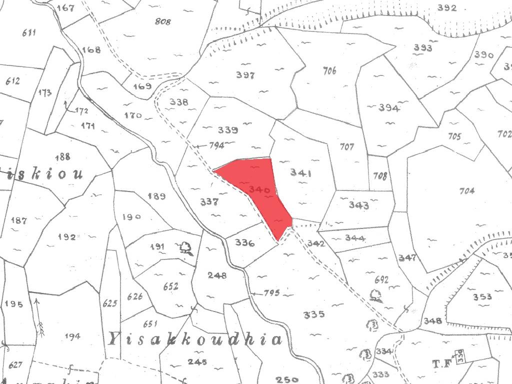 Field-Dora-PR41715