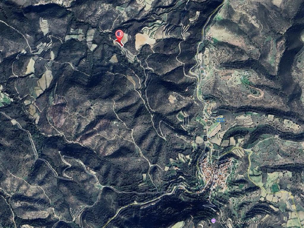 Field-Dora-PR41715