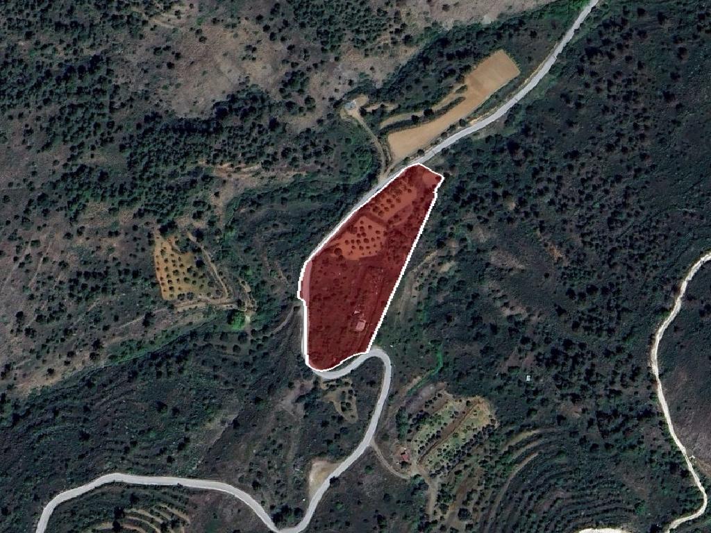 Field-Fikardou-PR42449