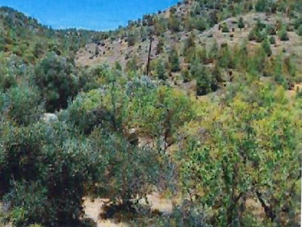 Field-Fikardou-PR42449