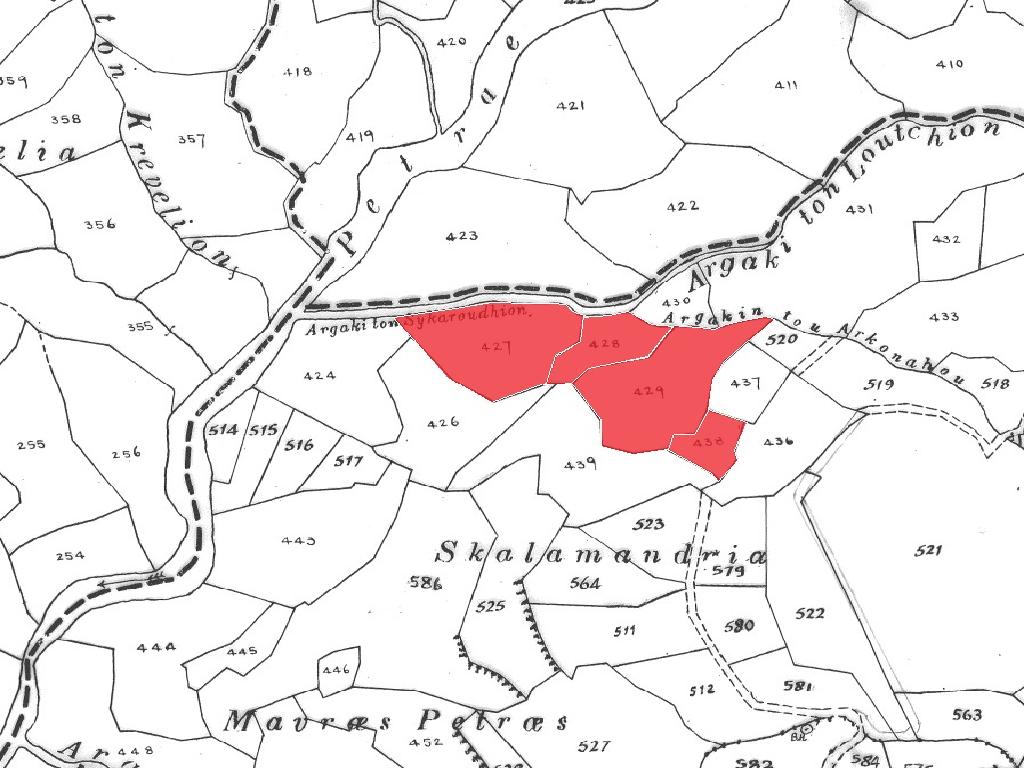 Field-Pentalia-CP10134