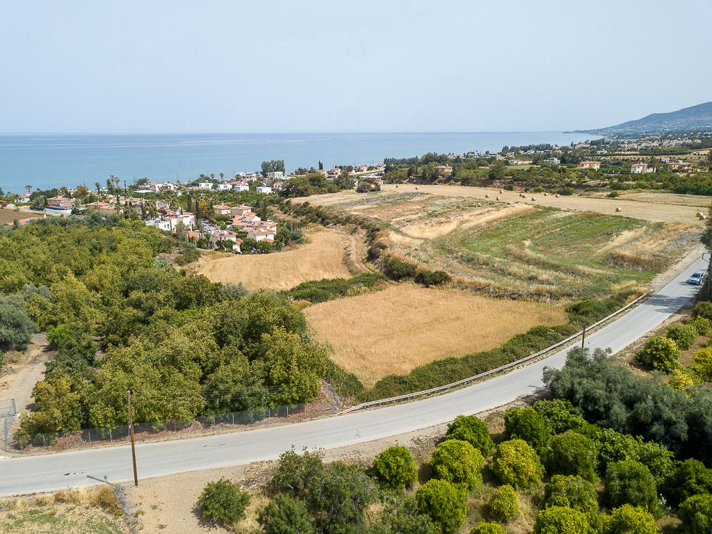 Field - Argaka, Paphos