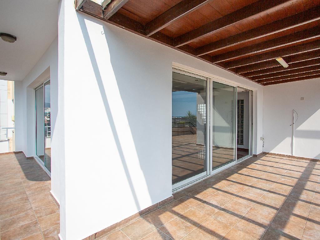 Flat-Kato Polemidia-PR44966