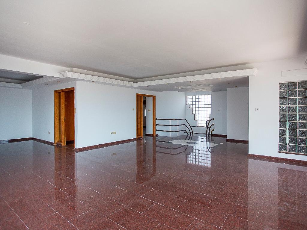 Flat-Kato Polemidia-PR44966