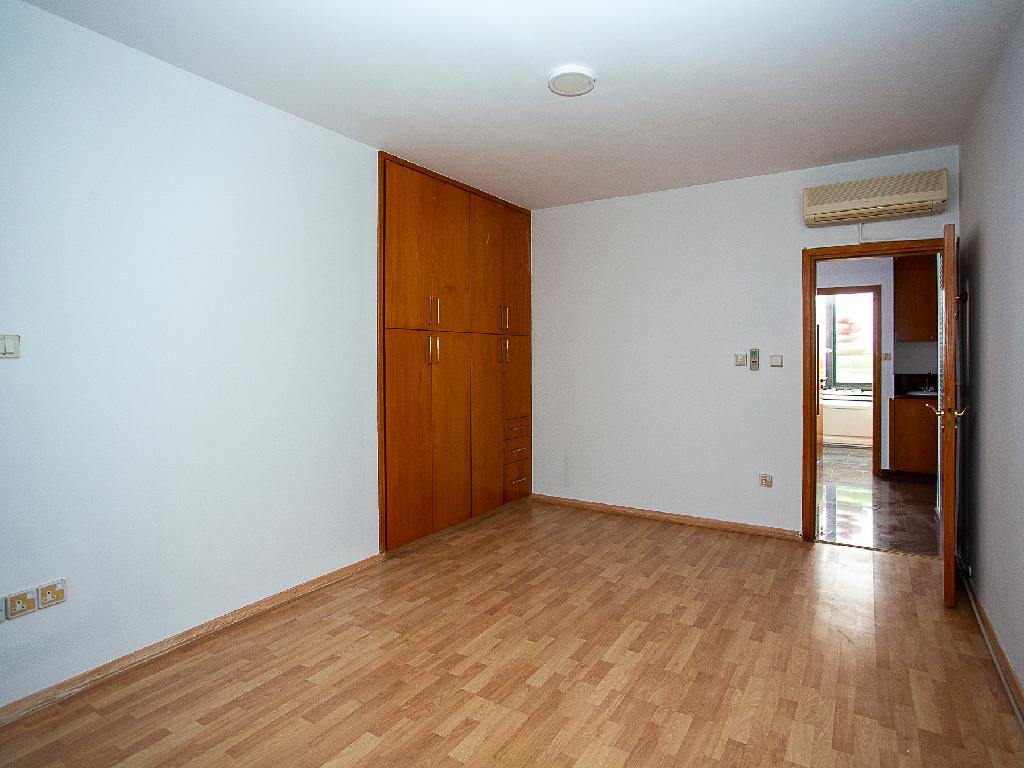 Flat-Kato Polemidia-PR44966