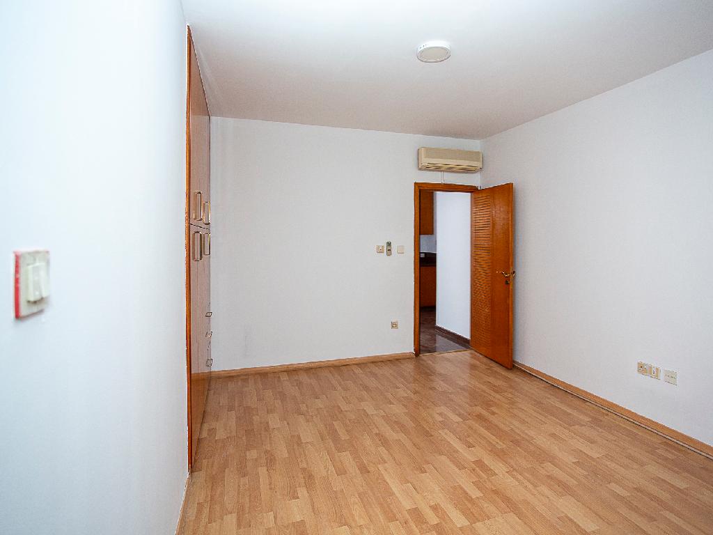 Flat-Kato Polemidia-PR44966