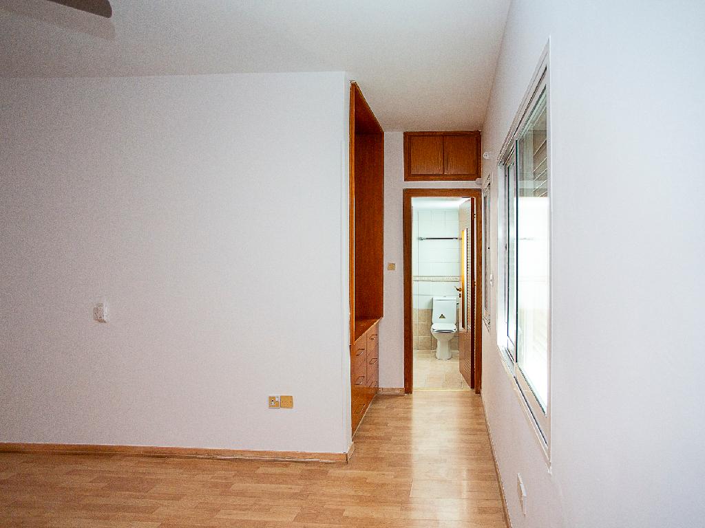 Flat-Kato Polemidia-PR44966