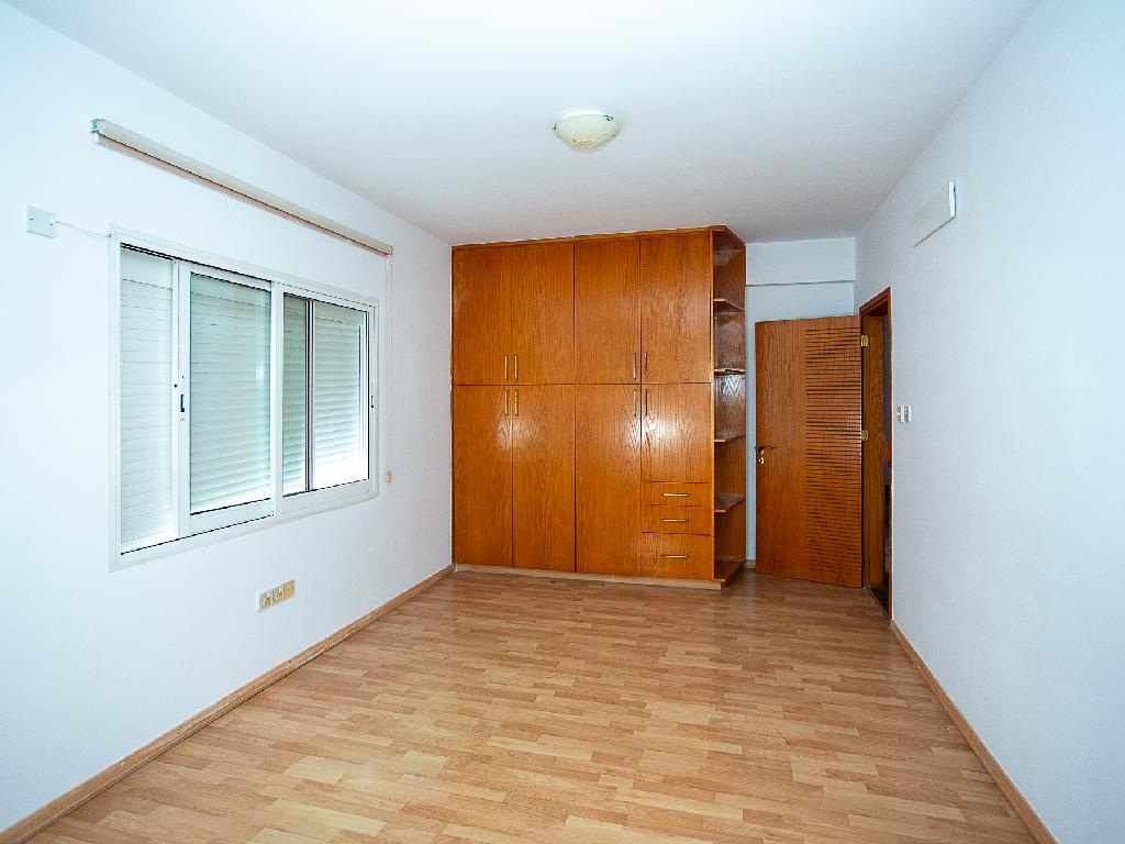 Flat-Kato Polemidia-PR44966