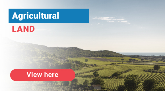 Agricultural Land
